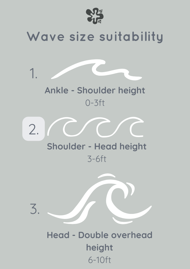 The Boa Bottoms - WILD RHYTHM