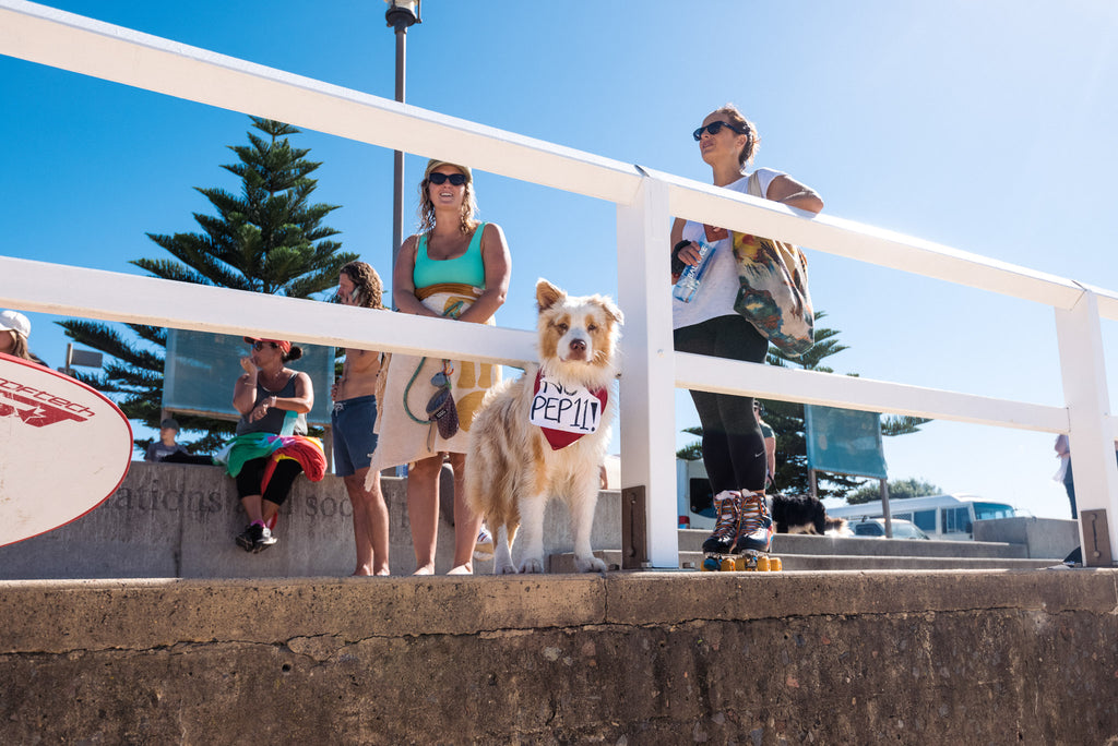 PEP-11 PADDLE OUT - NEWCASTLE